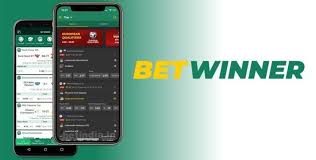 Essential Guide to BetWinner Mobile Application Apk